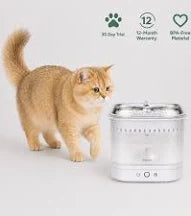 Cleaner water for pets. Easier daily care for you
