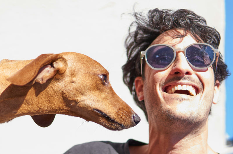 Healthier Pets Start Here