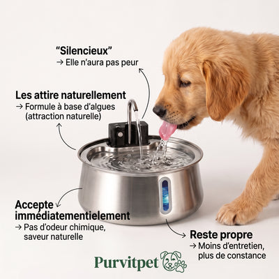 PurvitPet HydroFlow System